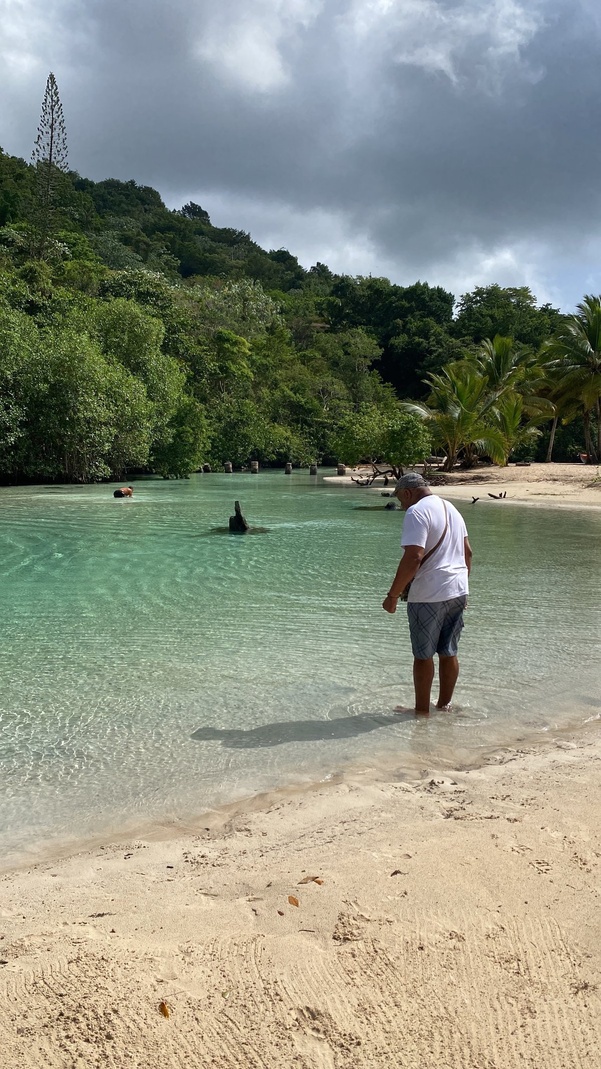 Guest wading in Caño Frío's clear water