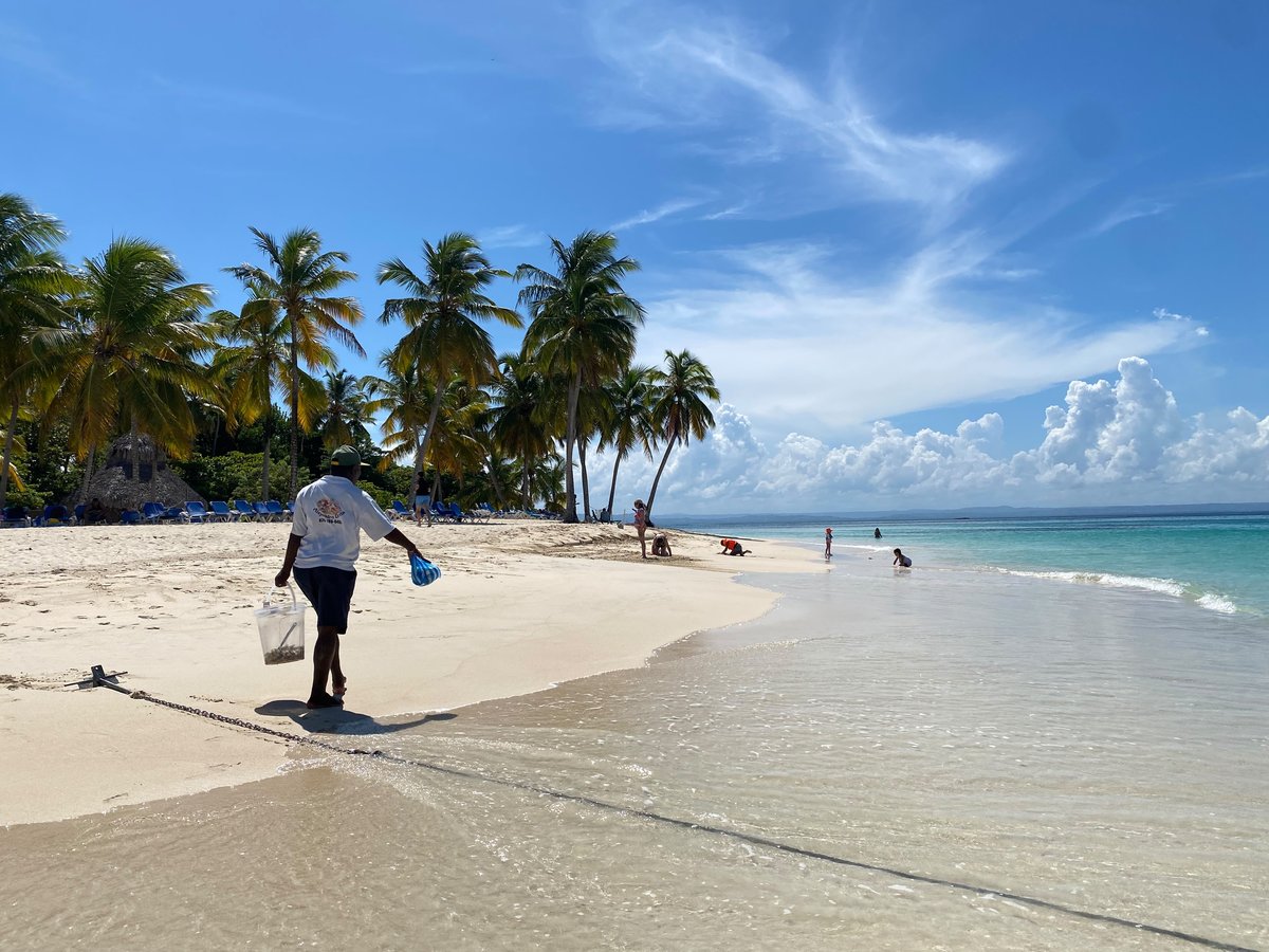 Palm-lined beach at Cayo Levantado