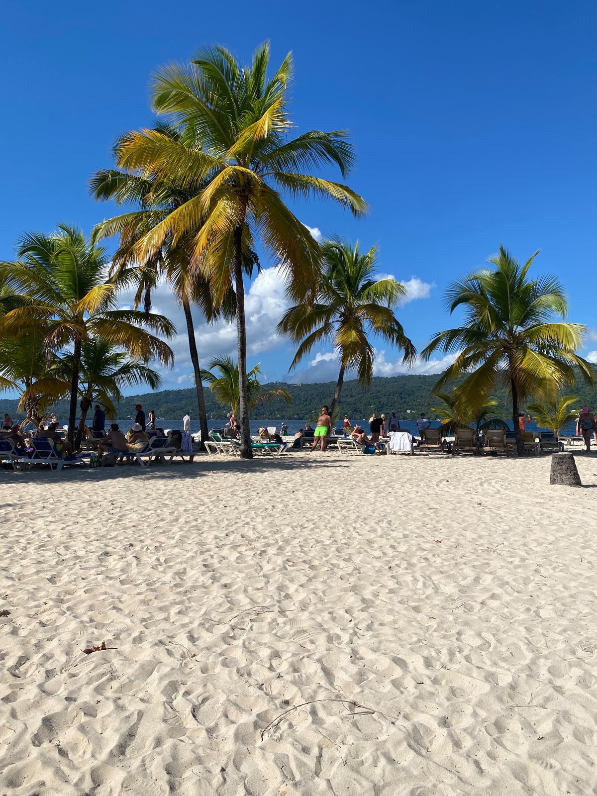 Palm trees and sun loungers on Cayo Levantado beach
