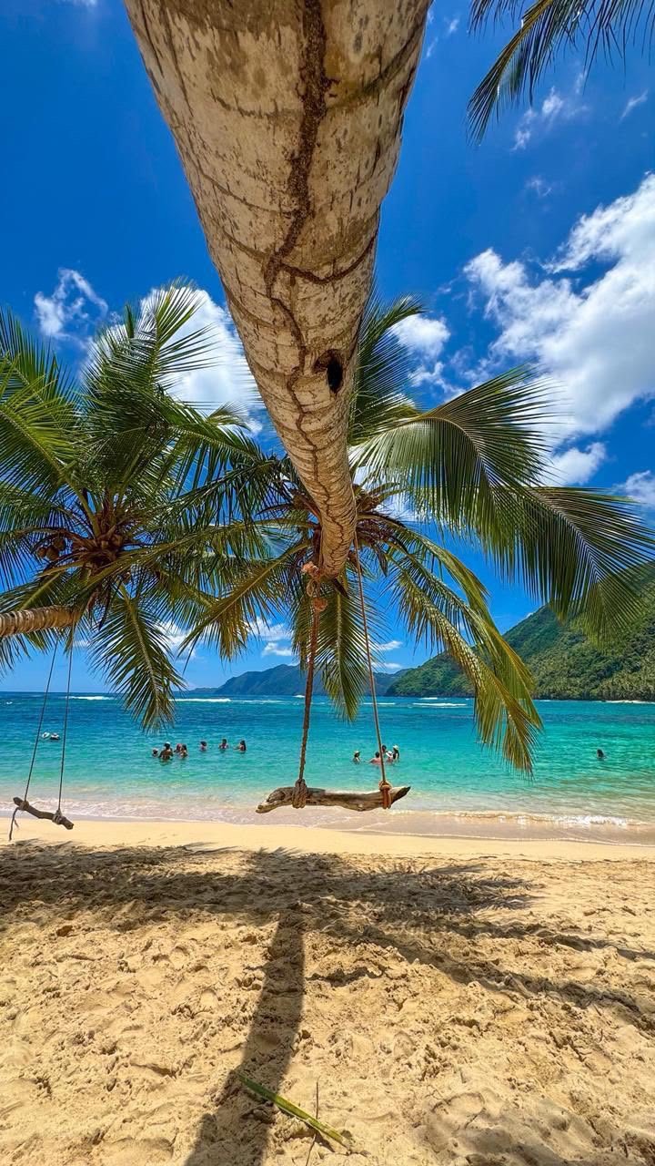 Palm-tree swing at Playa Emitaño