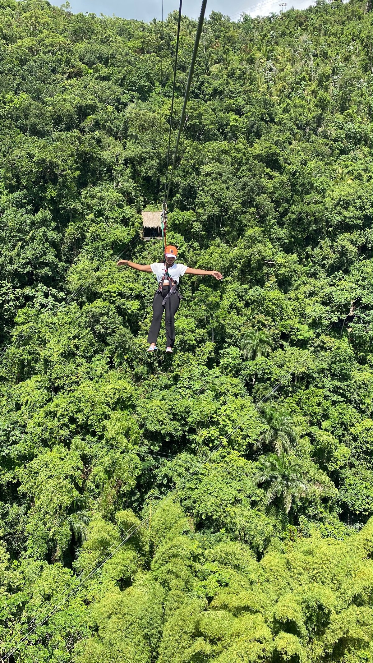 Zipline rider clipped in above the jungle canopy