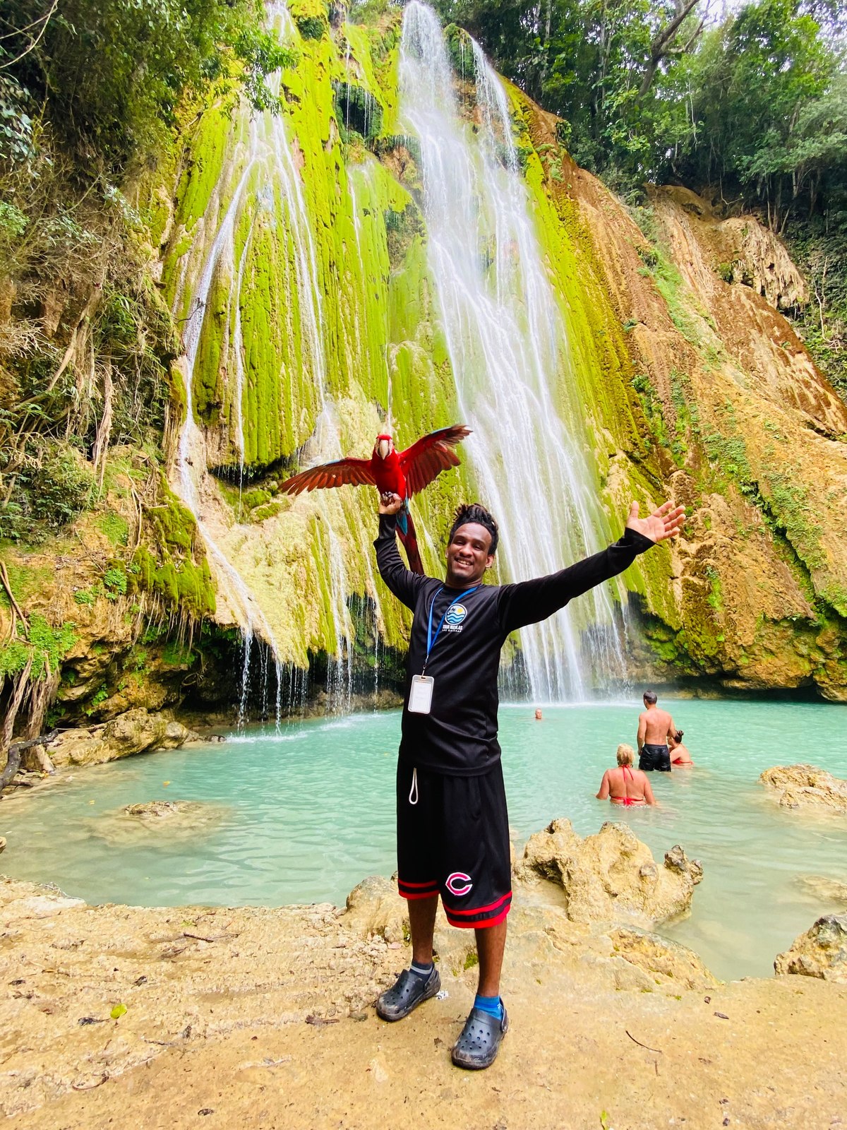 Salto del Limón waterfall in Samaná with a scarlet macaw