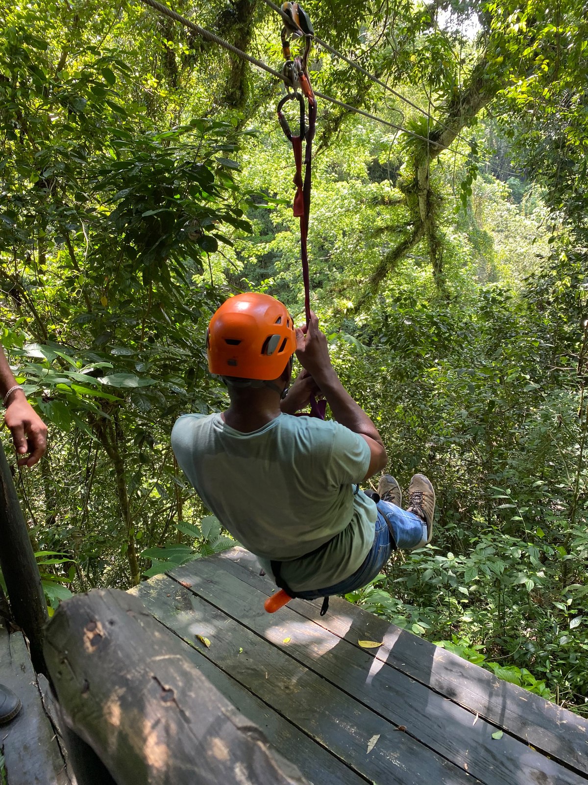 Zipline rider soaring over the jungle canopy in Las Galeras